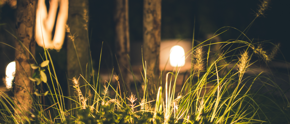5 Reasons to Choose Solar Landscape Lights