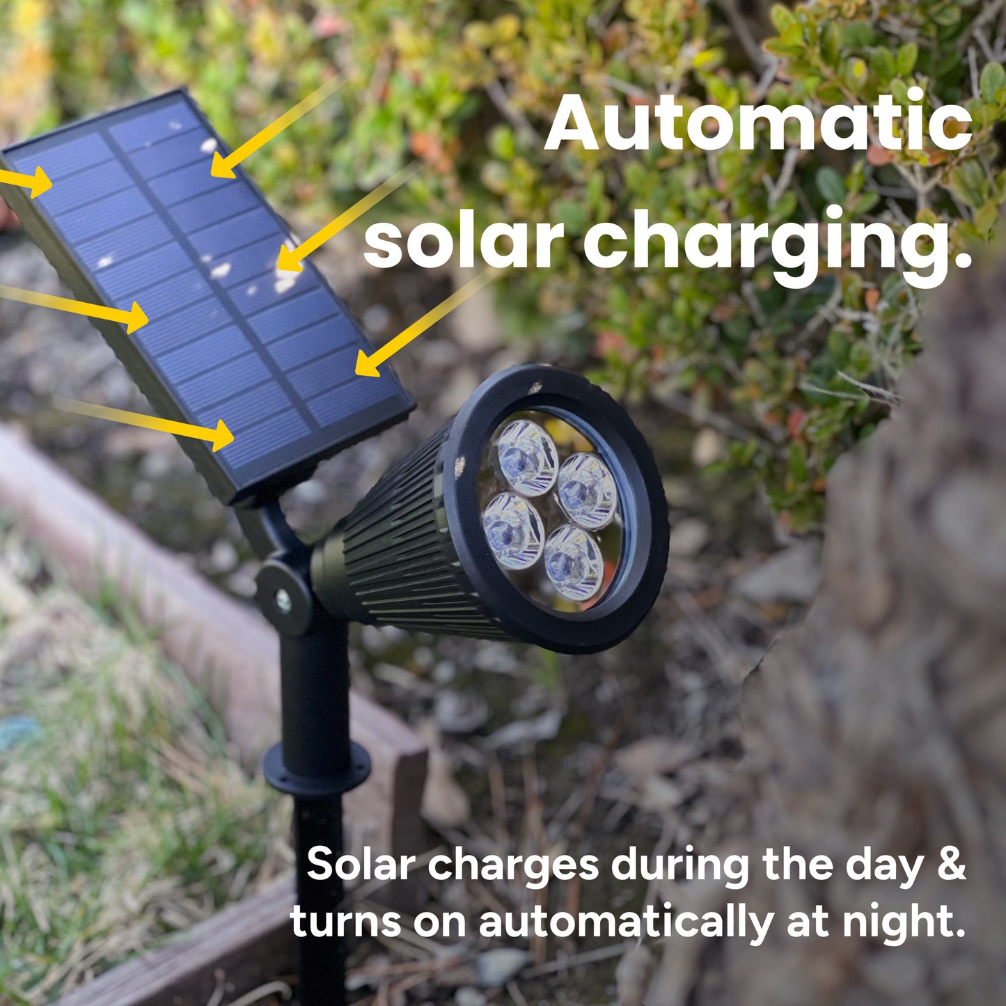 Solar Pathway Spotlights (2-Pack)