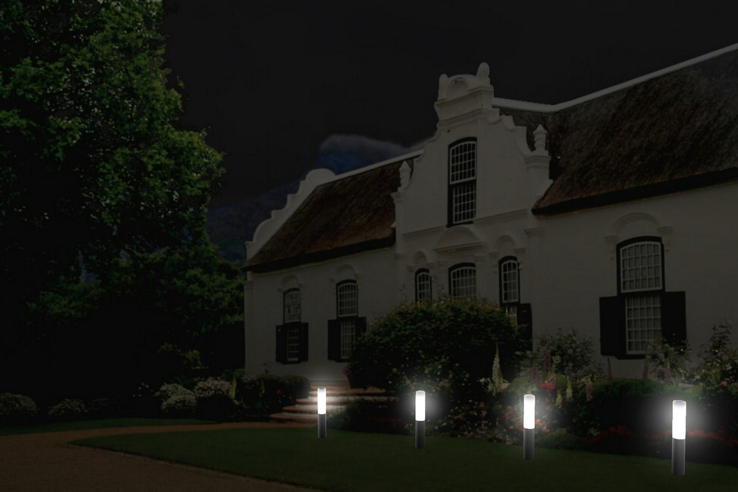 Solar Pathway Light (Dual Lighting Modes)
