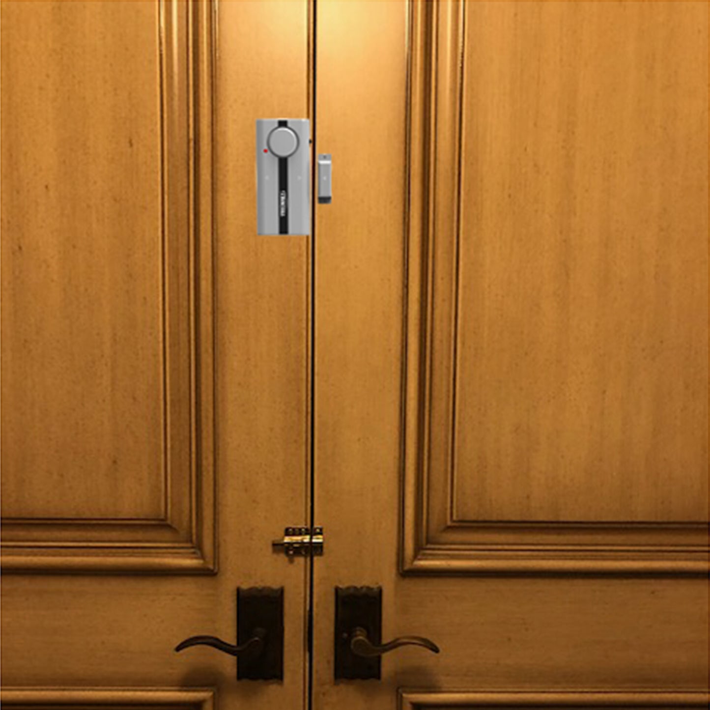 Magnetic Sensor Alarm