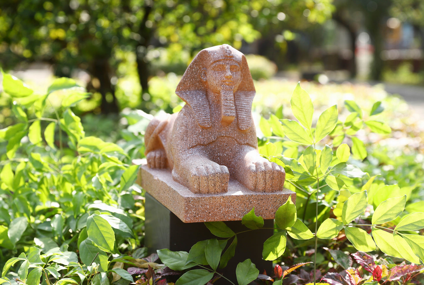 Sphinx with High-Power Solar Spotlight