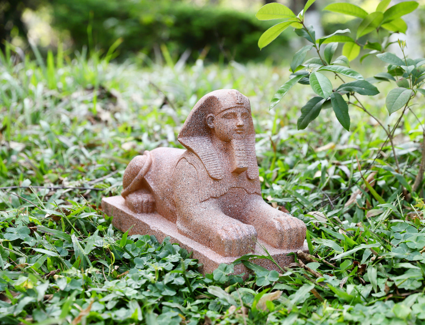 Sphinx with High-Power Solar Spotlight