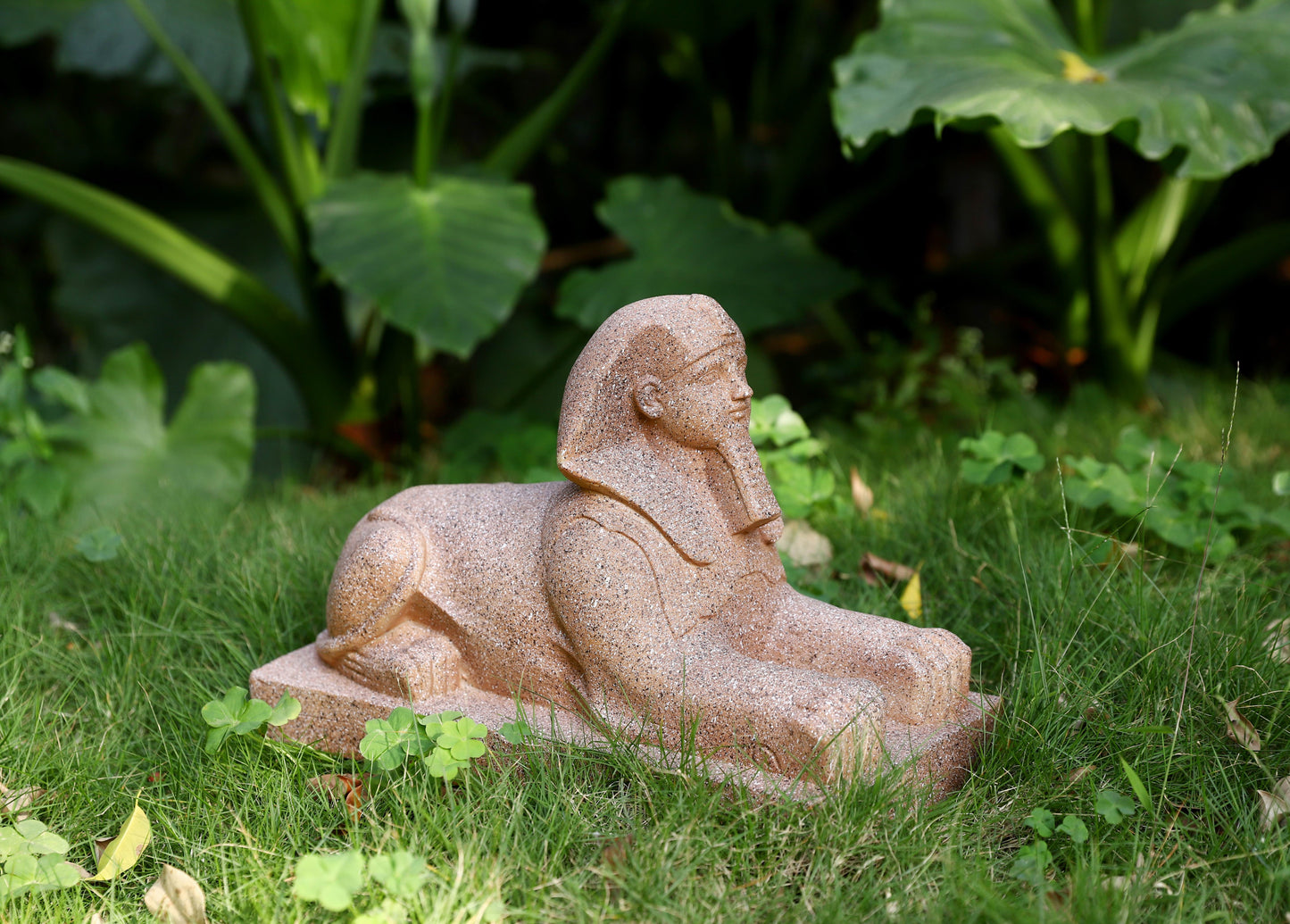 Sphinx with High-Power Solar Spotlight