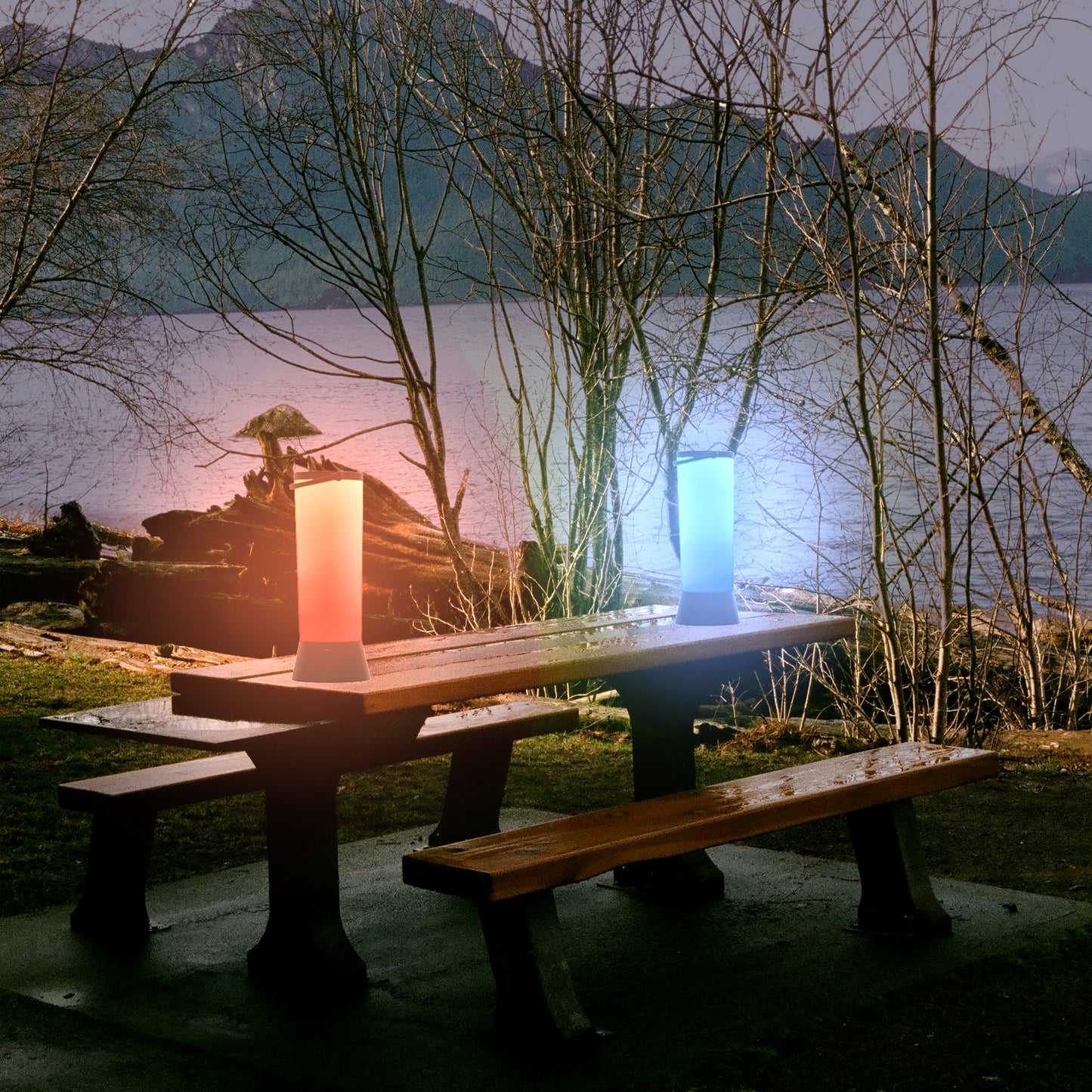 Solar Multicolor Portable Garden and Path Light