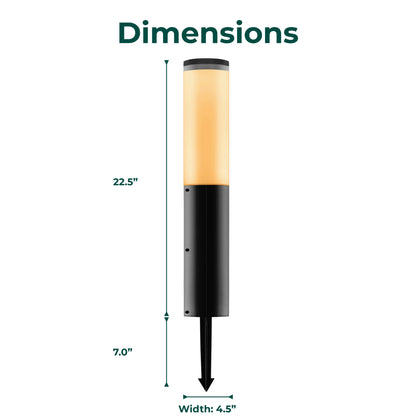 Solar Pathway Light (Dual Lighting Modes)