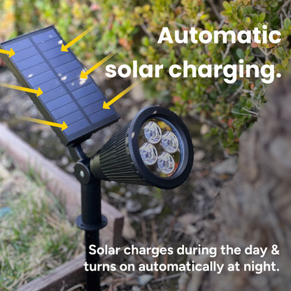 Solar Pathway Spotlights (2-Pack)