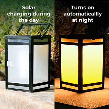 Portable Solar Lantern (Clear Panel)