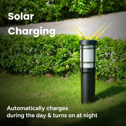 Solar RGB Torch Lantern Pathway Lights (2-Pack)