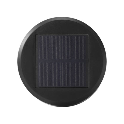 Solar RGB Torch Lantern Pathway Lights (2-Pack)