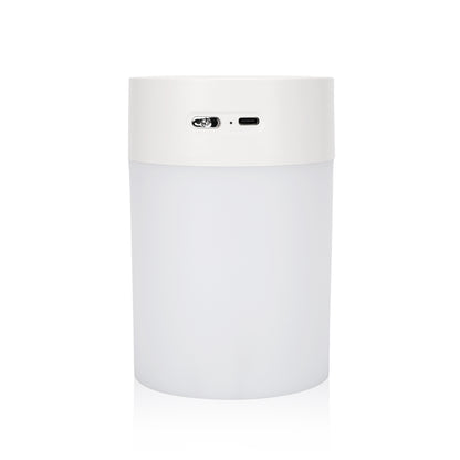 Portable Fine-Mist Humidifier w/ LED Night Light - 600ml
