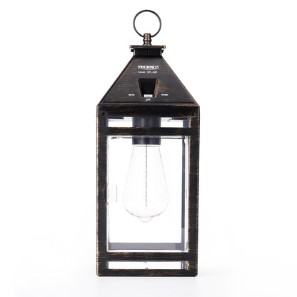 Solar Portable with Hanging Hook (Dual Lighting Modes)