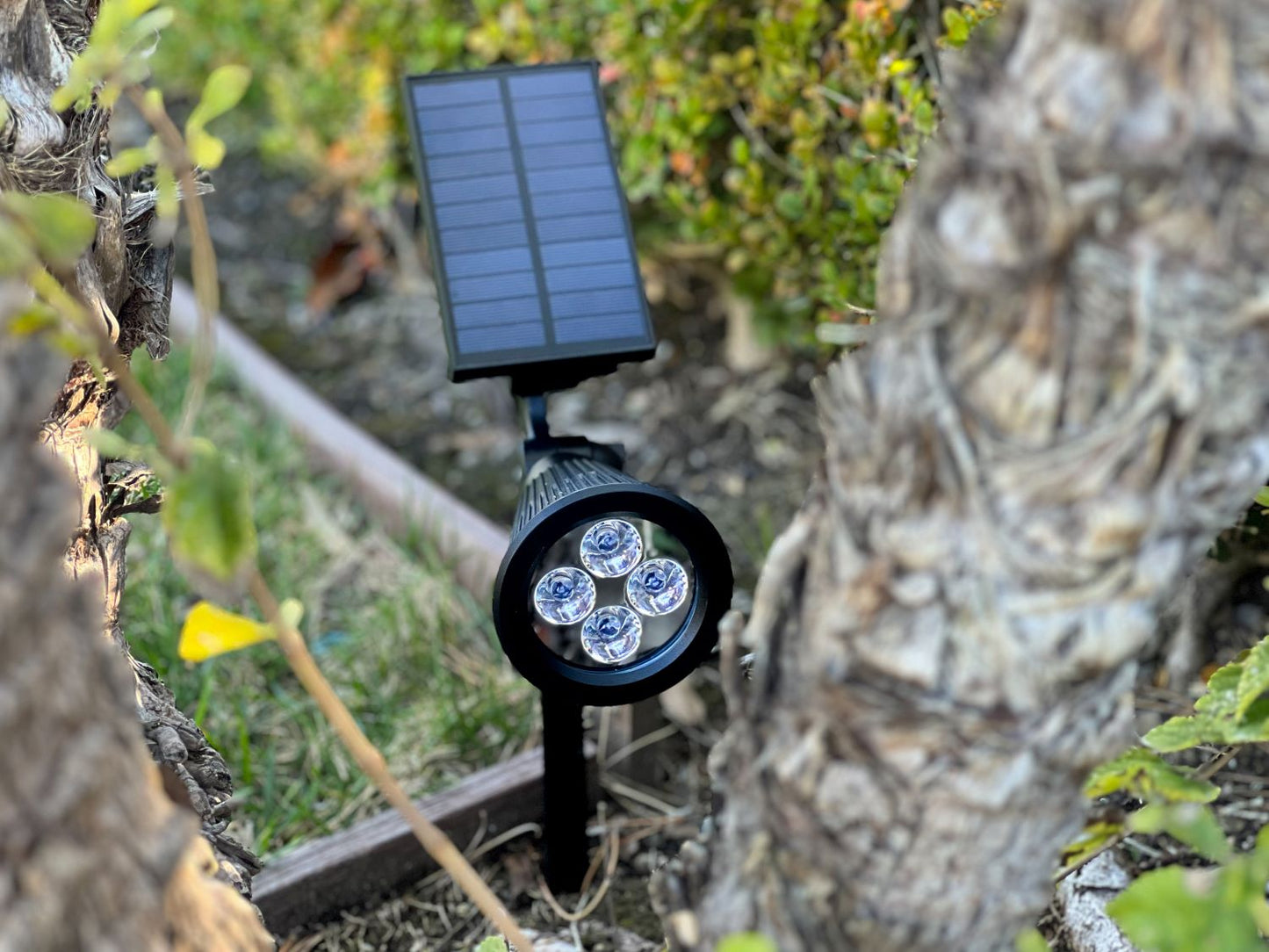 Solar Pathway Spotlights (2-Pack)