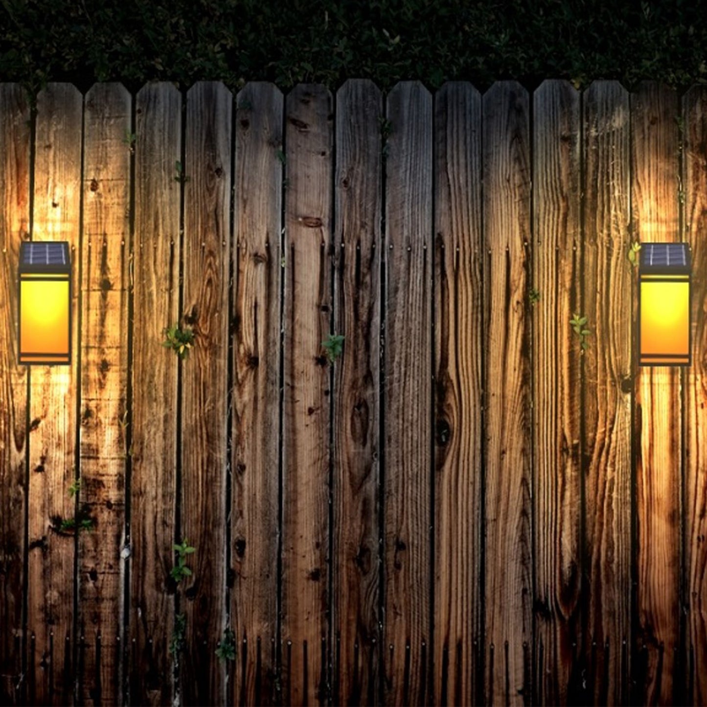 Solar Wall Lantern (Frosted Panel)